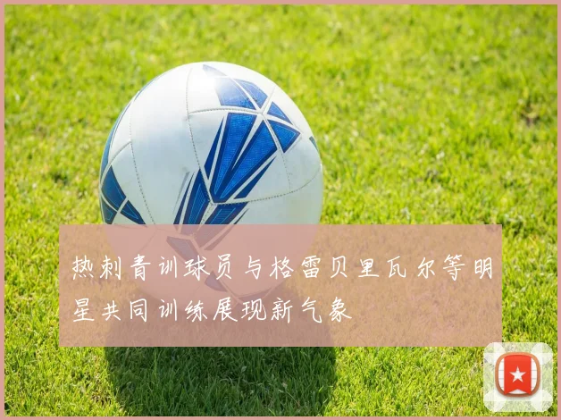 热刺青训球员与格雷贝里瓦尔等明星共同训练展现新气象