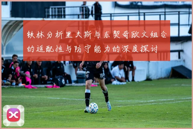 铁林分析里夫斯与东契奇欧文组合的适配性与防守能力的深度探讨